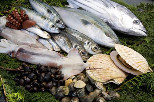 鮮魚、野菜へのこだわり